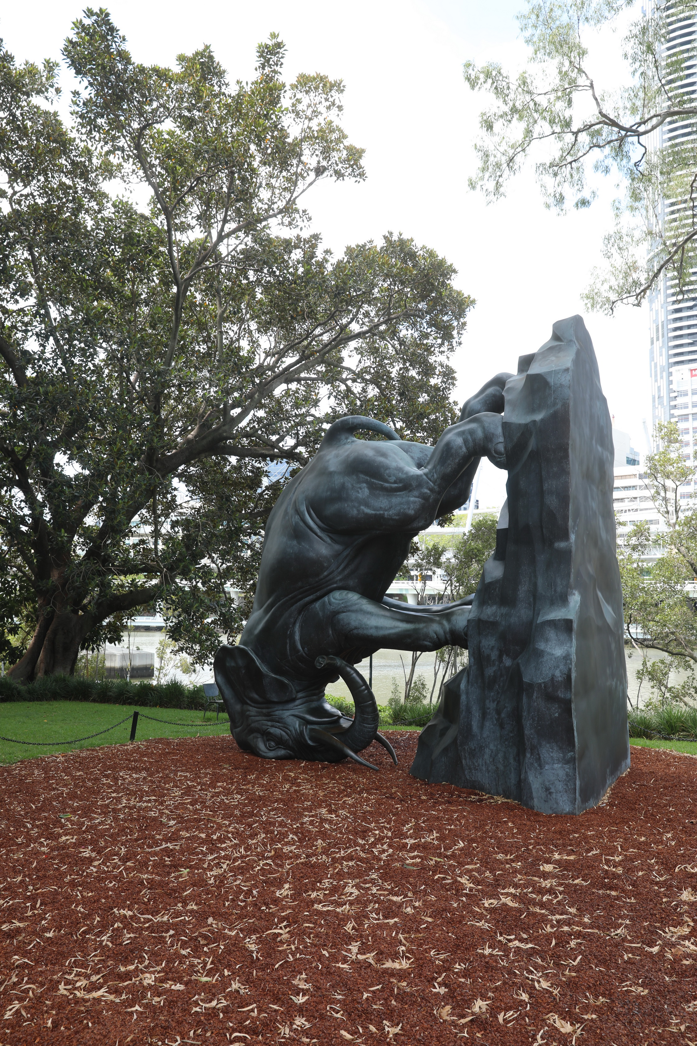 2020 01 19 14 46 43 Canon EOS 5D Mark IV 0002